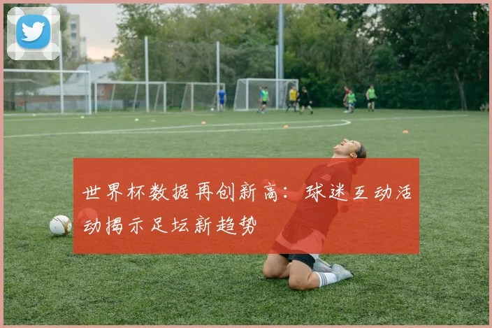 世界杯数据再创新高：球迷互动活动揭示足坛新趋势