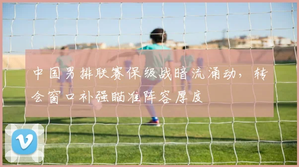 中国男排联赛保级战暗流涌动，转会窗口补强瞄准阵容厚度