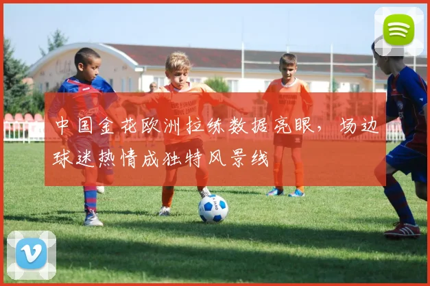 中国金花欧洲拉练数据亮眼，场边球迷热情成独特风景线