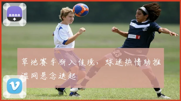 草地赛季渐入佳境，球迷热情助推温网悬念迭起