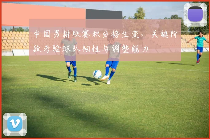 中国男排联赛积分榜生变，关键阶段考验球队韧性与调整能力