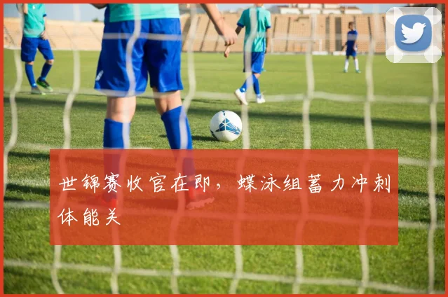 世锦赛收官在即，蝶泳组蓄力冲刺体能关