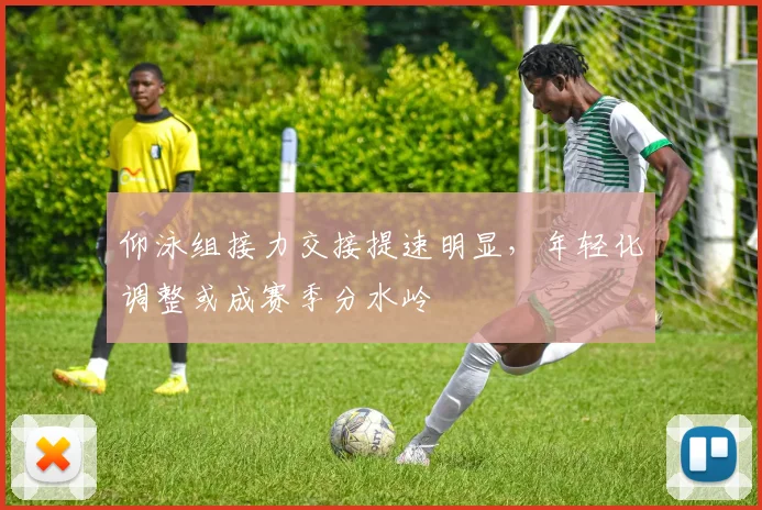 仰泳组接力交接提速明显，年轻化调整或成赛季分水岭